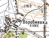Topographic map of Vorobiyivka