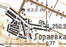 Топографическая карта Гораевки