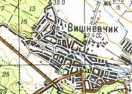 Topographic map of Vyshnivchyk