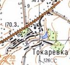 Топографическая карта Токаревки