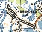 Топографическая карта Скалоновки