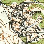 Топографическая карта Терновой