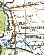 Топографическая карта Колесниковки