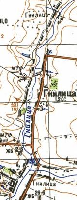 Топографическая карта Гнилицы