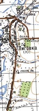 Топографическая карта Лиговки
