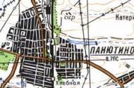 Топографічна карта Панютиного