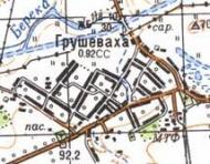 Топографическая карта Грушевахи