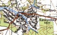 Топографическая карта Каплуновки