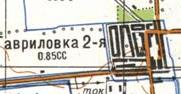 Топографическая карта Гавриловки Второй