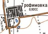 Топографическая карта Трофимовки