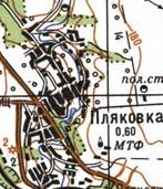 Топографическая карта Пляковки