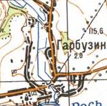 Топографическая карта Гарбузина