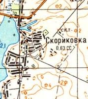 Топографическая карта Скориковки