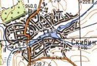 Топографическая карта Скибина