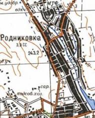Топографическая карта Родниковки