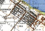 Topographic map of Borovytsya