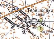 Топографическая карта Терешковки