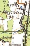 Topographic map of Avgustivka