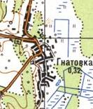 Топографическая карта Гнатовки