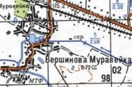 Топографическая карта Вершиновой Муравейки