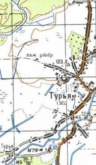 Топографическая карта Турьей