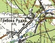 Топографическая карта Грибовой Рудни