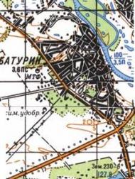Топографическая карта Батурина