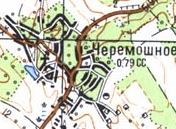Топографічна карта Черемошного