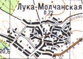 Топографическая карта Луки-Молчанской