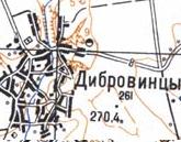 Topographic map of Dibrovyntsi