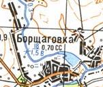 Топографическая карта Борщаговки