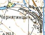 Топографічна карта Чернятинців