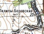 Topographic map of Pylypy-Borivski