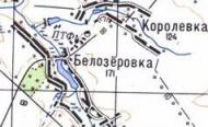 Топографическая карта Белозеровки