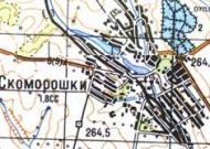 Топографічна карта Скоморошок