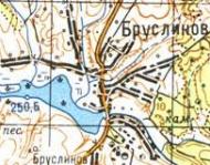 Топографическая карта Бруслинова