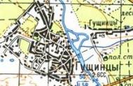 Топографічна карта Гущинців