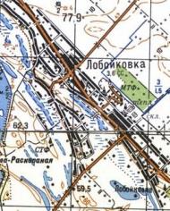 Топографічна карта Лобойківки