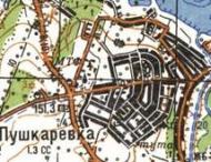 Топографическая карта Пушкаревки