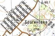 Топографическая карта Брагиновки