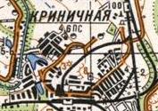 Топографическая карта Криничной