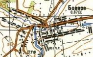 Топографічна карта Бойового