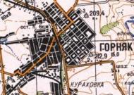 Топографическая карта Горняка