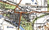 Топографическая карта Гольмовского