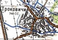 Топографічна карта Троковичів