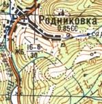 Топографічна карта Родниківки