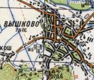 Топографічна карта Вишково