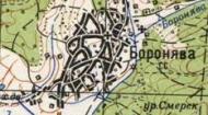 Топографическая карта Боронявы