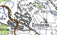 Топографическая карта Олешника