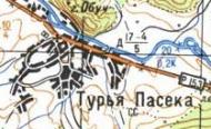 Топографічна карта Тур'ї Пасіки